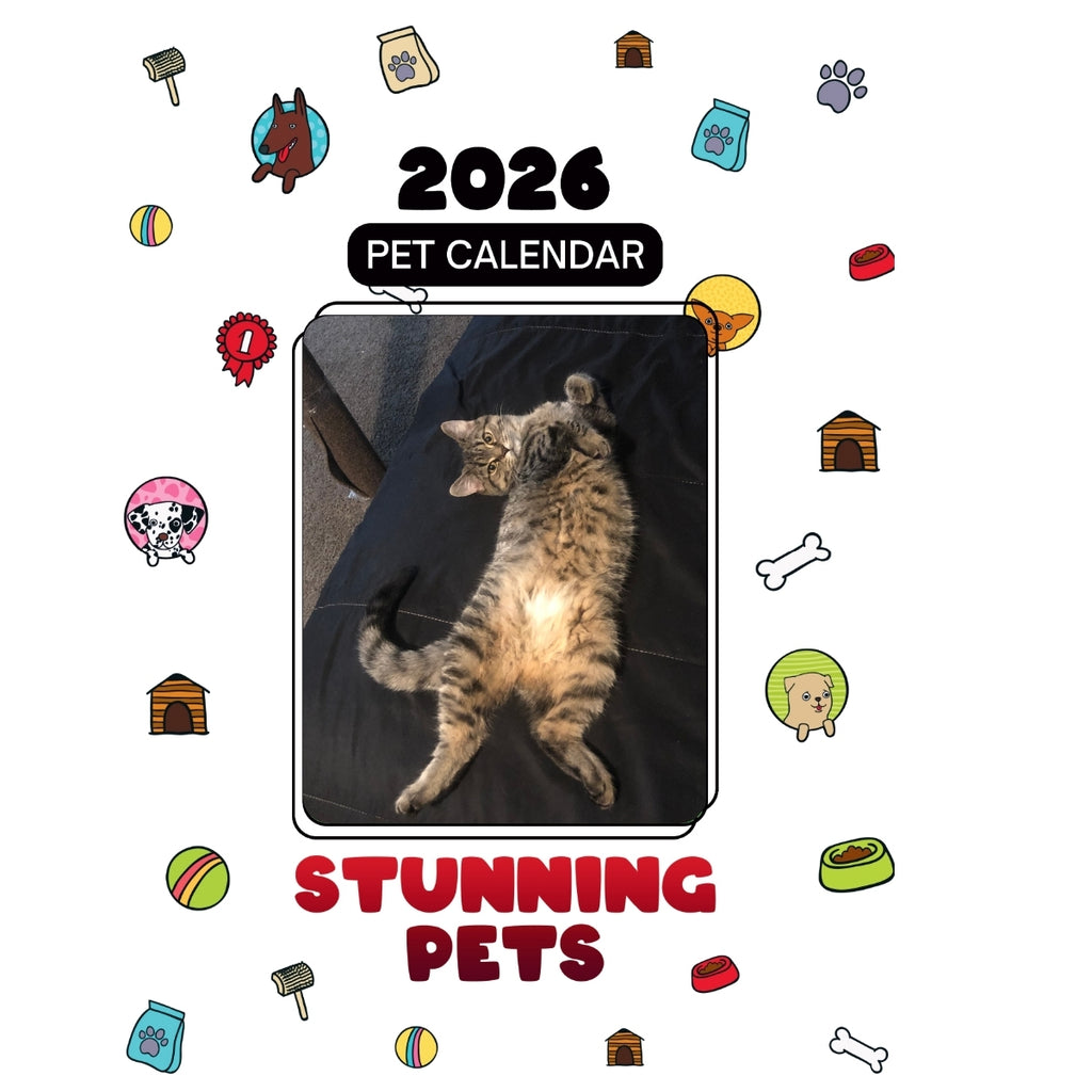 1 pet Headlines Stunning Pets: A 2026 Pet Calendar