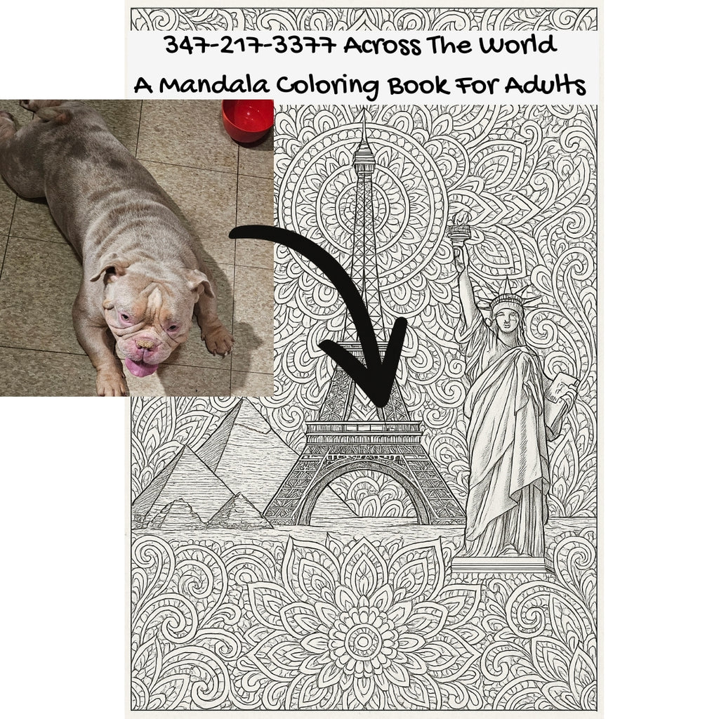 347-217-3377 Across The World: A Mandala Coloring Book For Adults