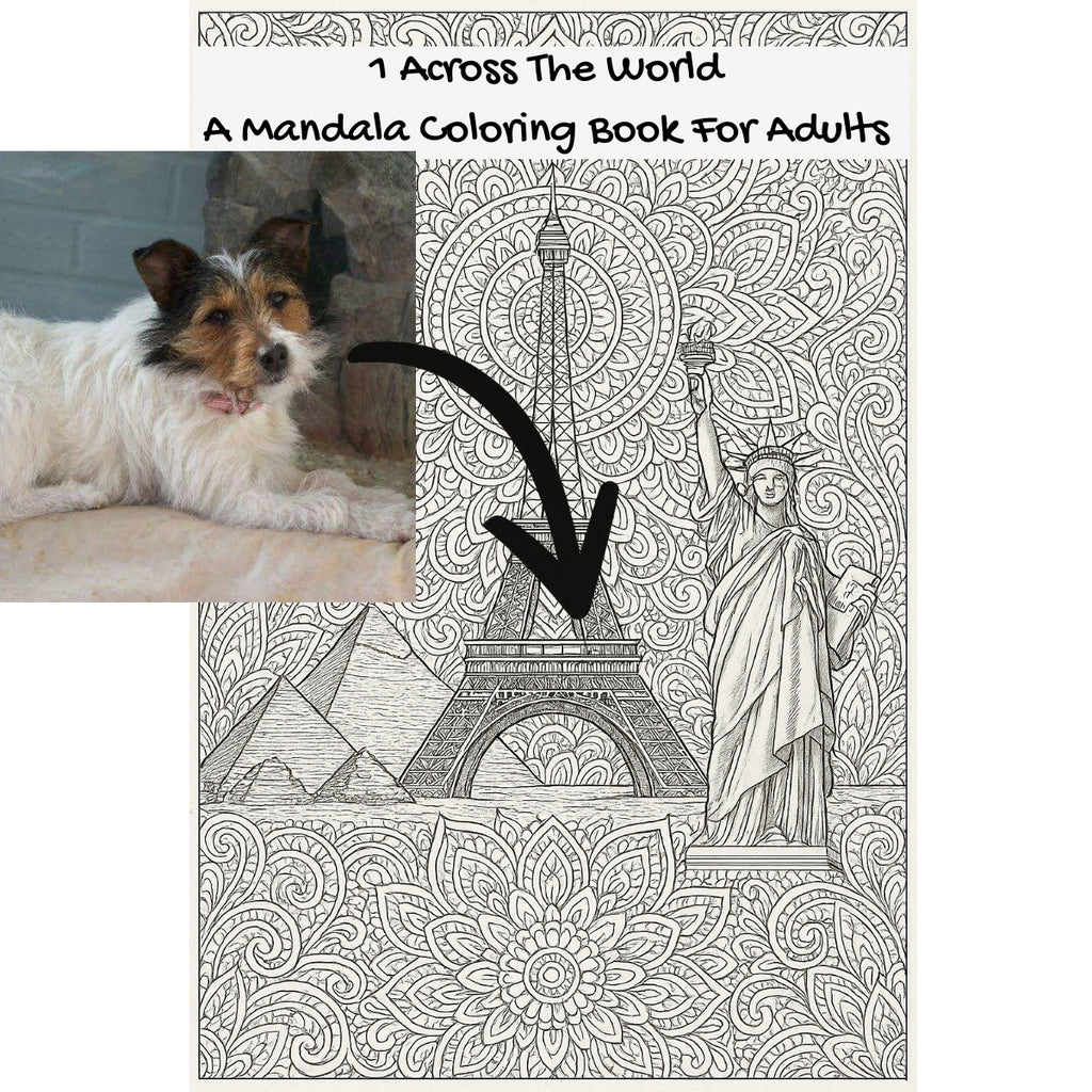 1 Across The World: A Mandala Coloring Book For Adults