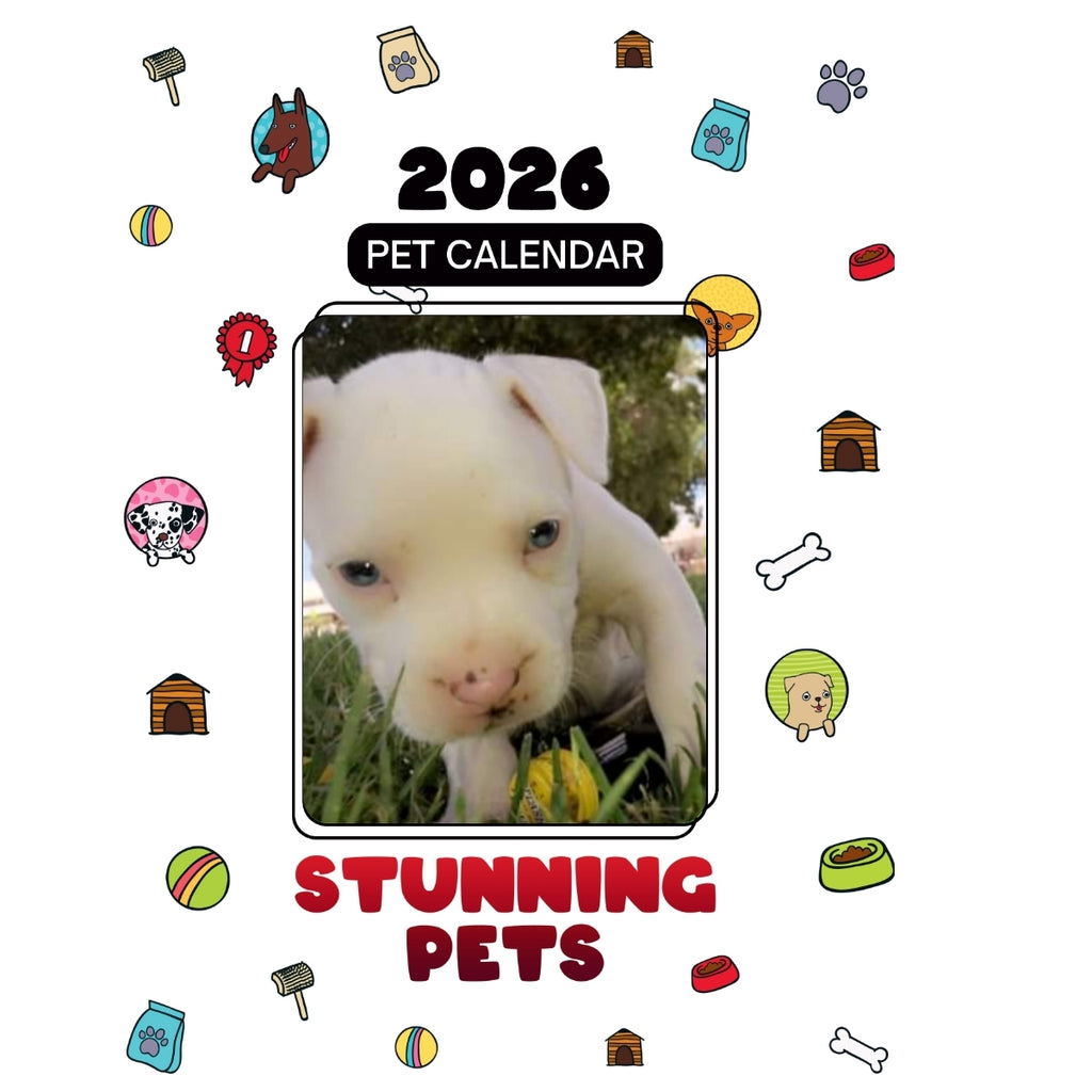 1 Headlines Stunning Pets: A 2026 Pet Calendar