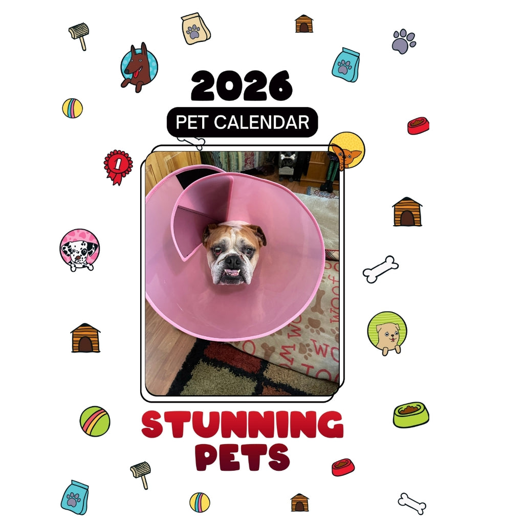 Dory The Bulldog Headlines Stunning Pets: A 2026 Pet Calendar