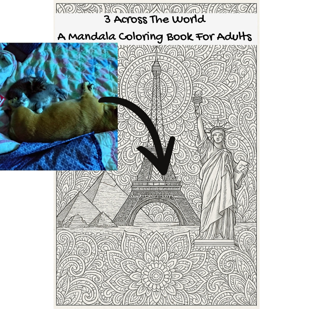 3 Across The World: A Mandala Coloring Book For Adults