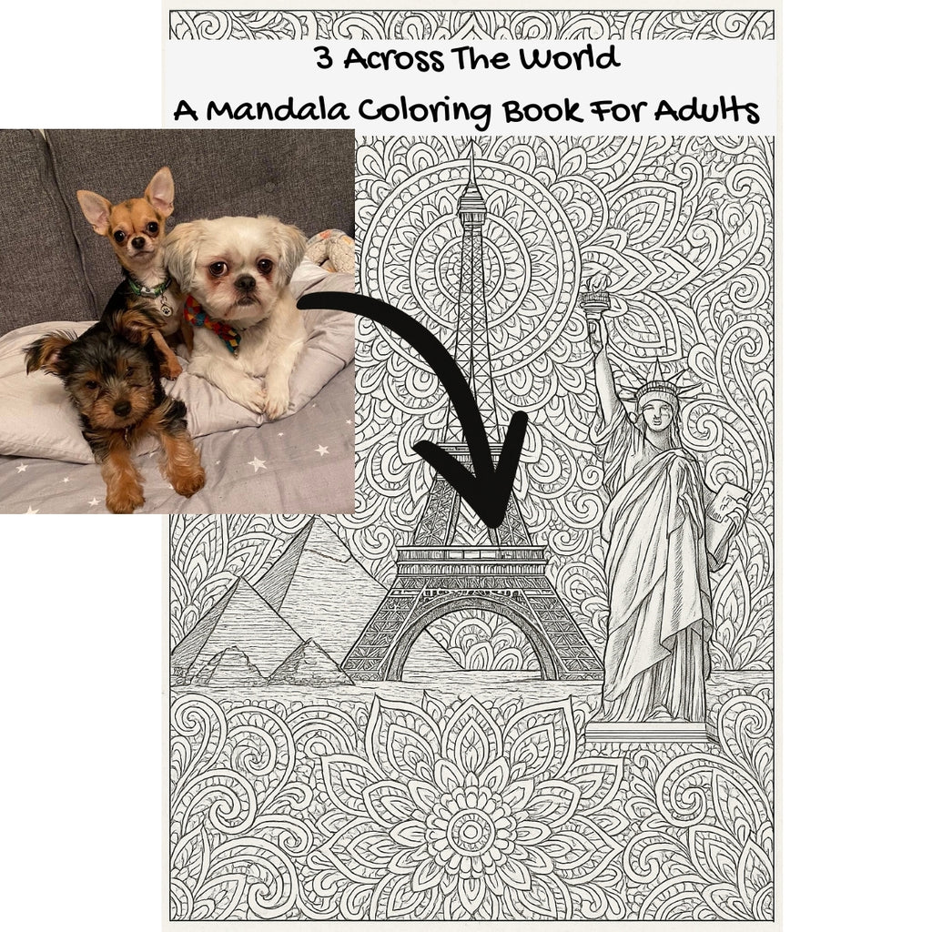 3 Across The World: A Mandala Coloring Book For Adults