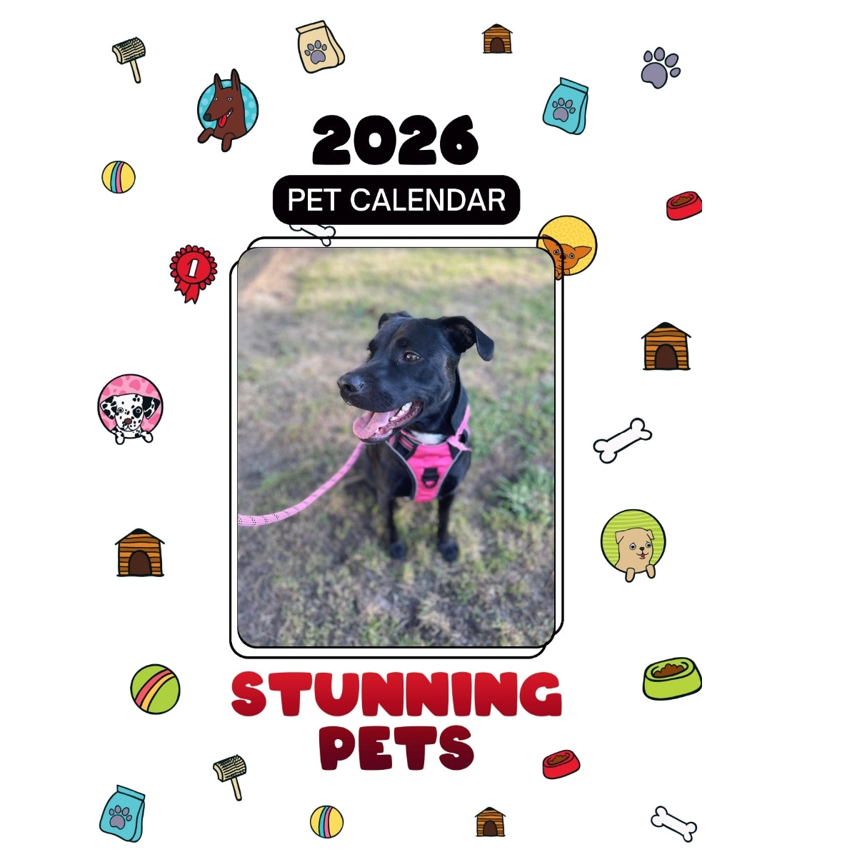 8-Ball Headlines Stunning Pets: A 2026 Pet Calendar