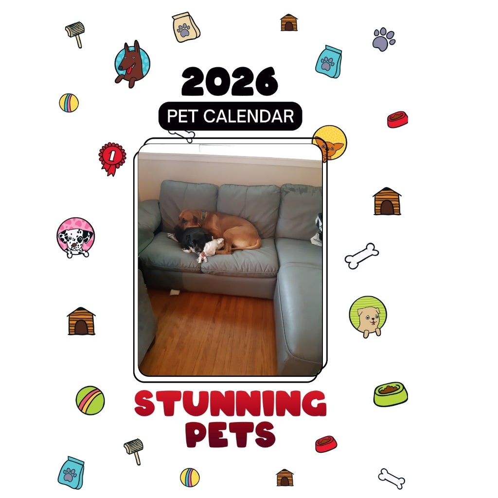 3 Headlines Stunning Pets: A 2026 Pet Calendar