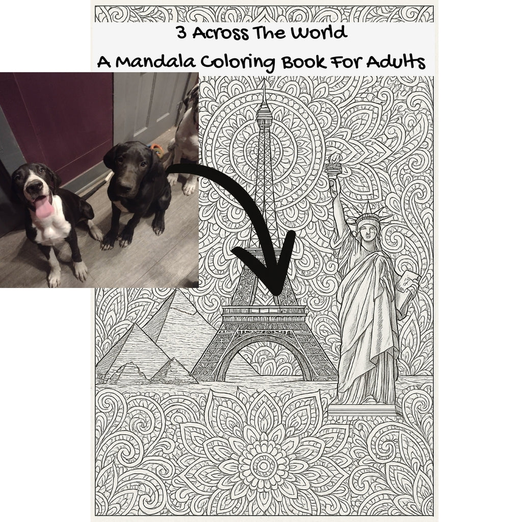 3 Across The World: A Mandala Coloring Book For Adults