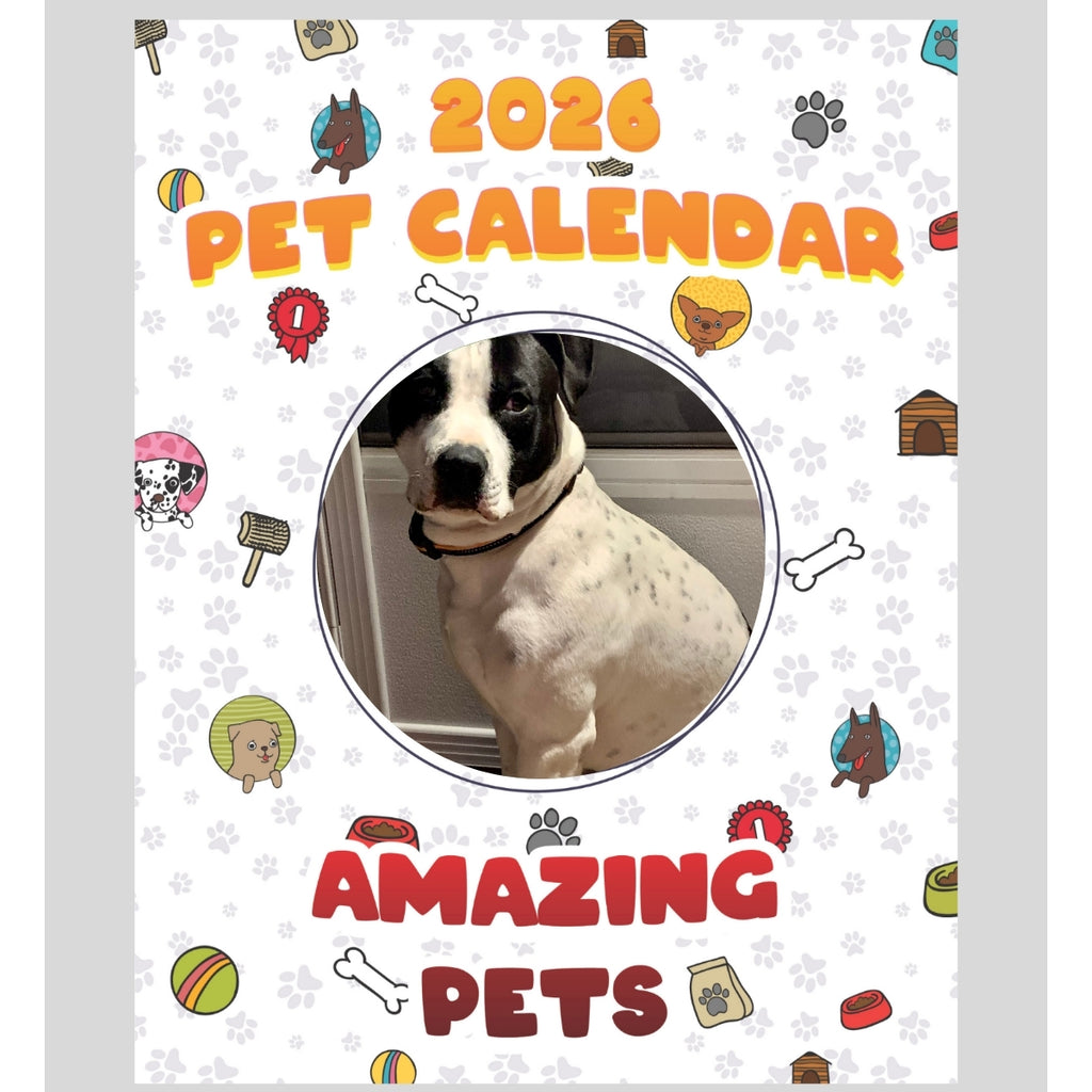 American Bulldog Stars in Amazing Pets: A 2026 Pet Calendar