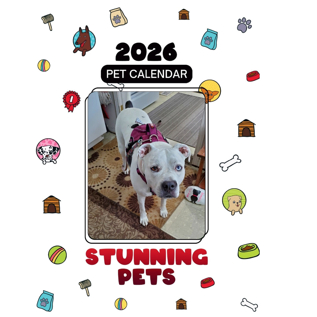 1 Headlines Stunning Pets: A 2026 Pet Calendar