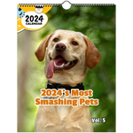 0f21e864-8ec9-4f7e-be9a-e02bd40bba80