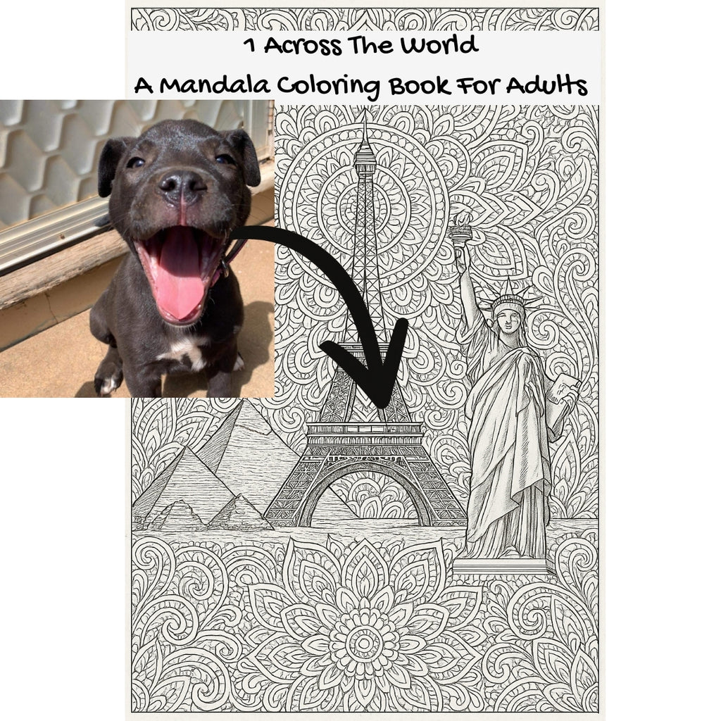 1 Across The World: A Mandala Coloring Book For Adults