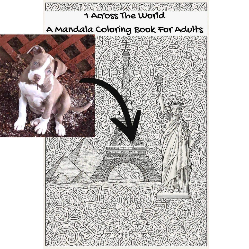 1 Across The World: A Mandala Coloring Book For Adults