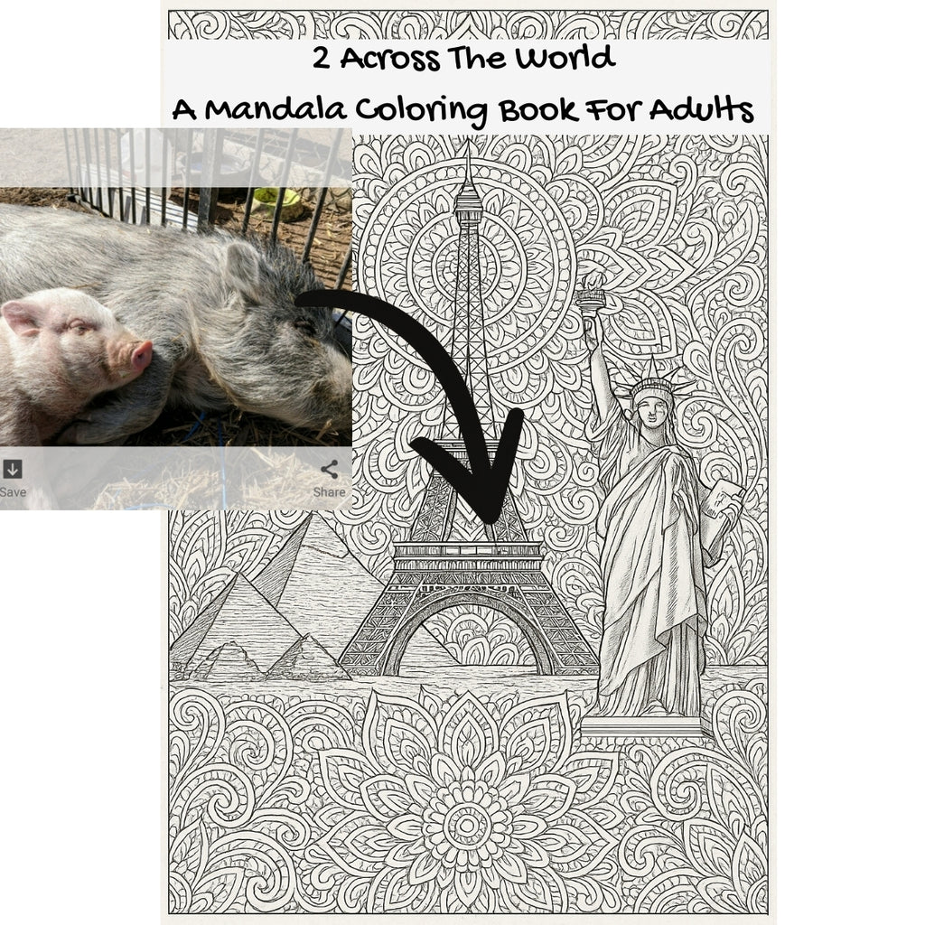 2 Across The World: A Mandala Coloring Book For Adults