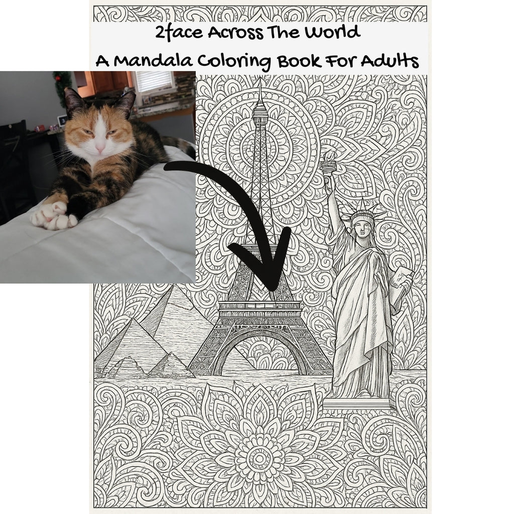 2face Across The World: A Mandala Coloring Book For Adults