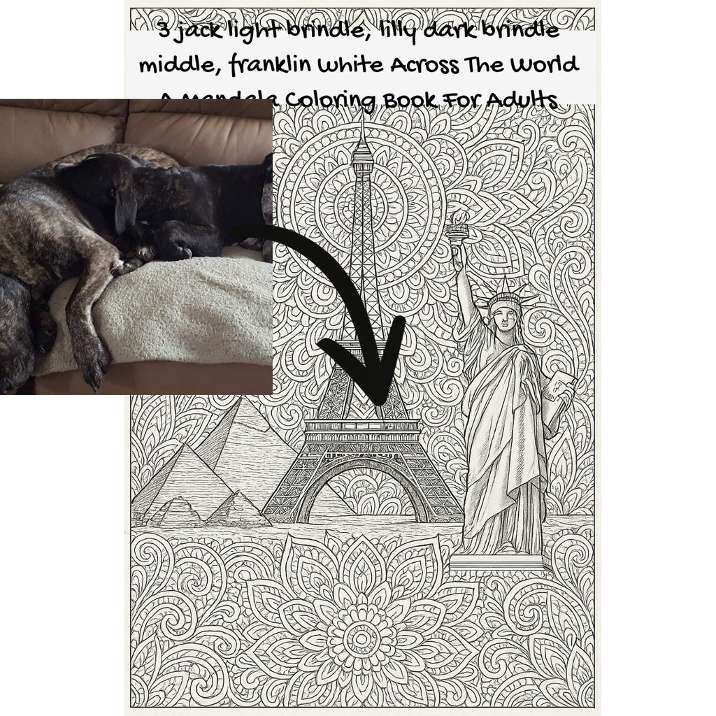 3 jack light brindle, lilly dark brindle middle, franklin white Across The World: A Mandala Coloring Book For Adults