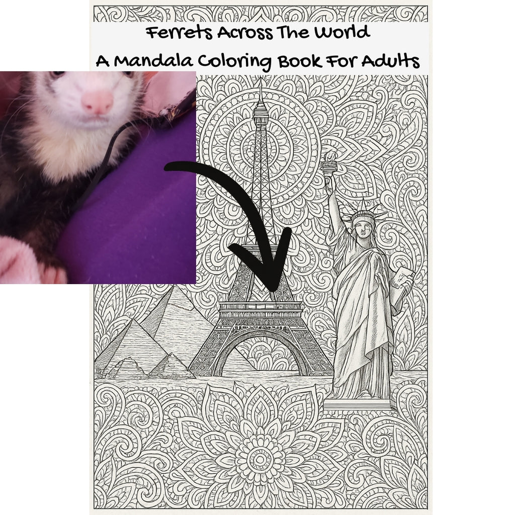 Ferrets Across The World: A Mandala Coloring Book For Adults