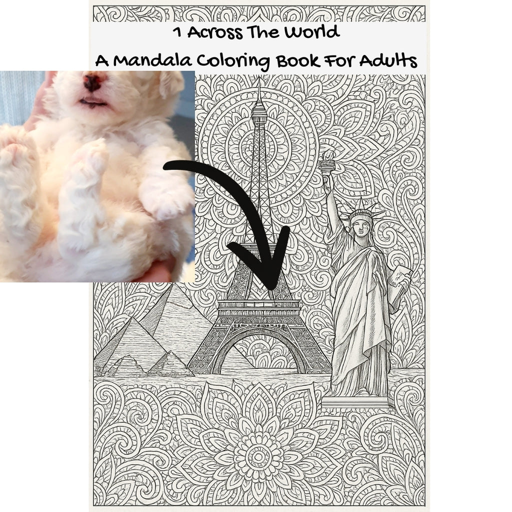 1 Across The World: A Mandala Coloring Book For Adults