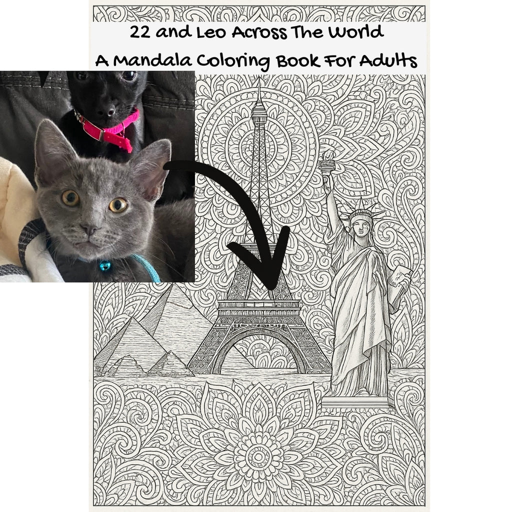 22 and Leo Across The World: A Mandala Coloring Book For Adults
