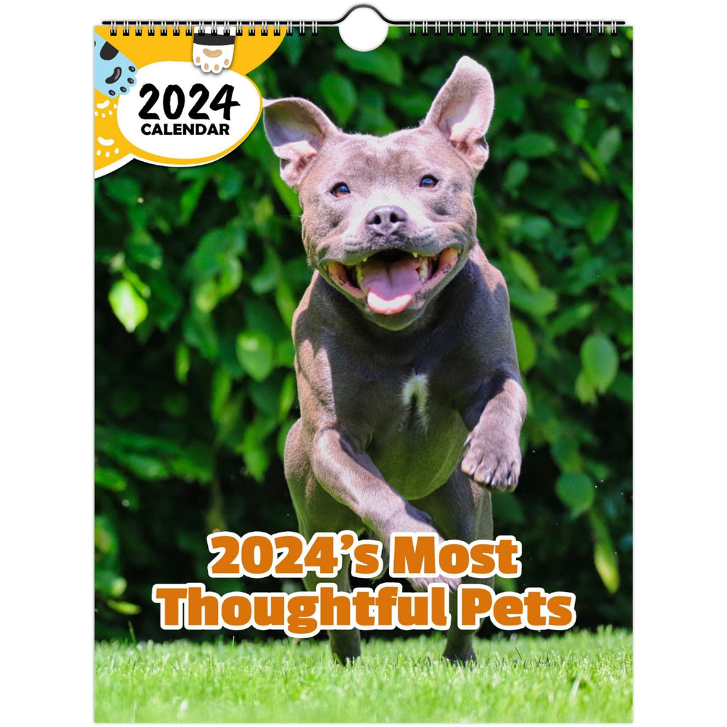 2024's Most Thoughtful Pets: 2024 Wall Calendar (Published)