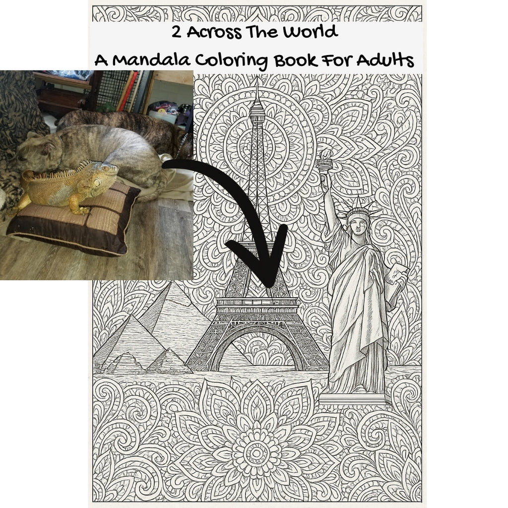 2 Across The World: A Mandala Coloring Book For Adults
