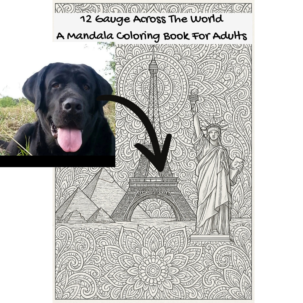 12 Gauge Across The World: A Mandala Coloring Book For Adults
