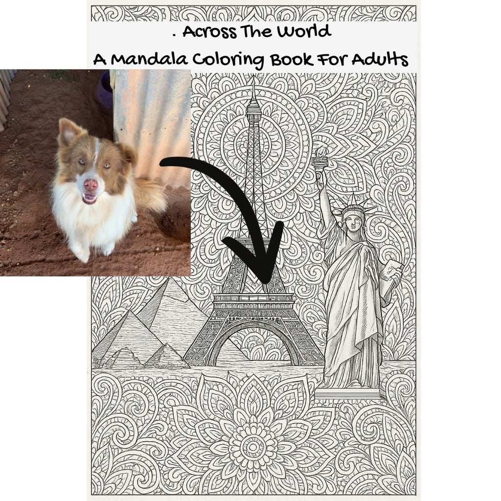 . Across The World: A Mandala Coloring Book For Adults