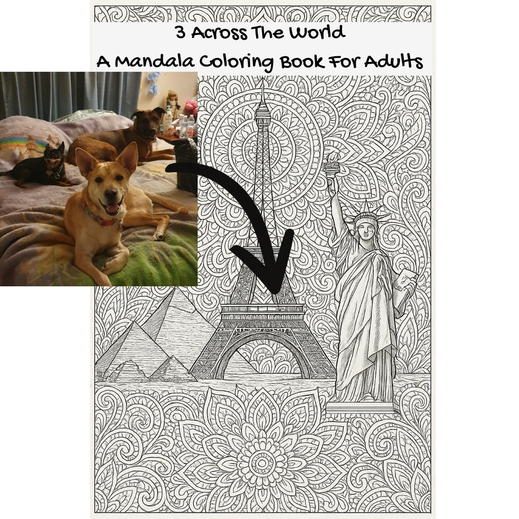 3 Across The World: A Mandala Coloring Book For Adults