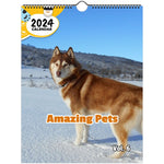 Amazing Pets Volume Six: 2024 Wall Calendar (Published)