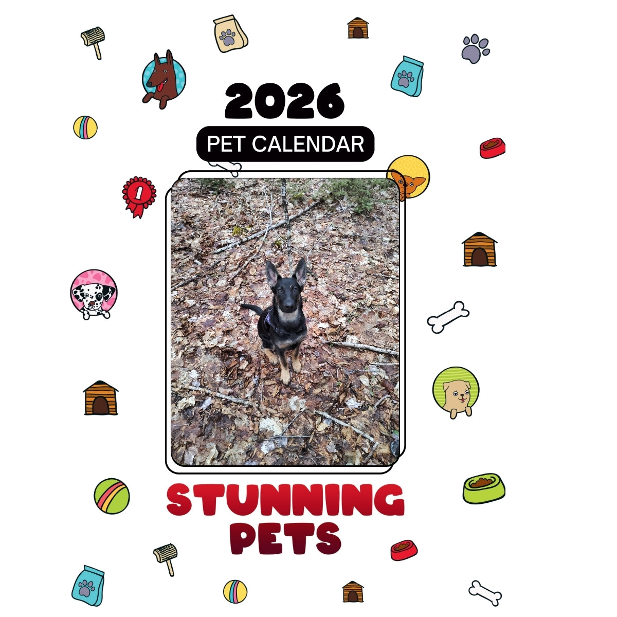 1 Headlines Stunning Pets: A 2026 Pet Calendar