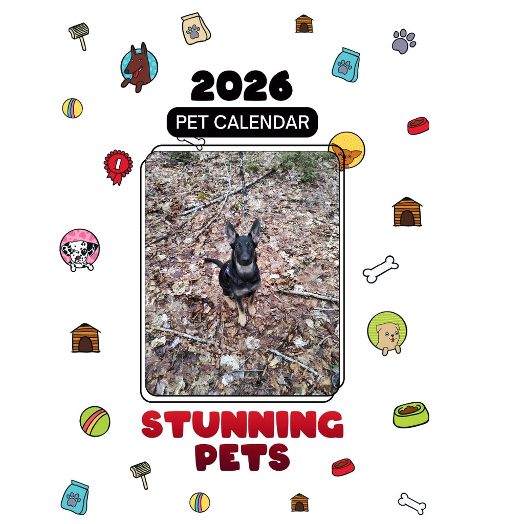 1 Headlines Stunning Pets: A 2026 Pet Calendar