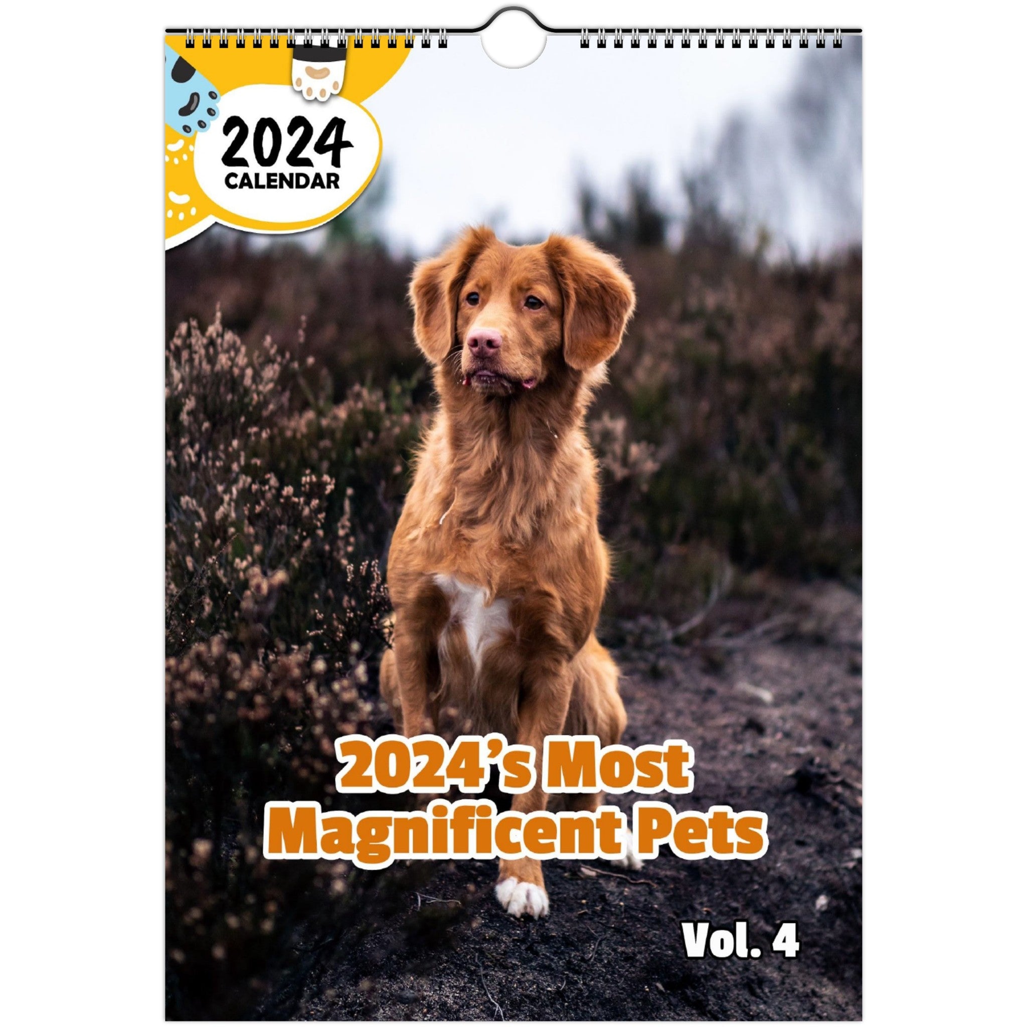 2024's Most Magnificent Pets Volume Four: 2024 Wall Calendar (Published)