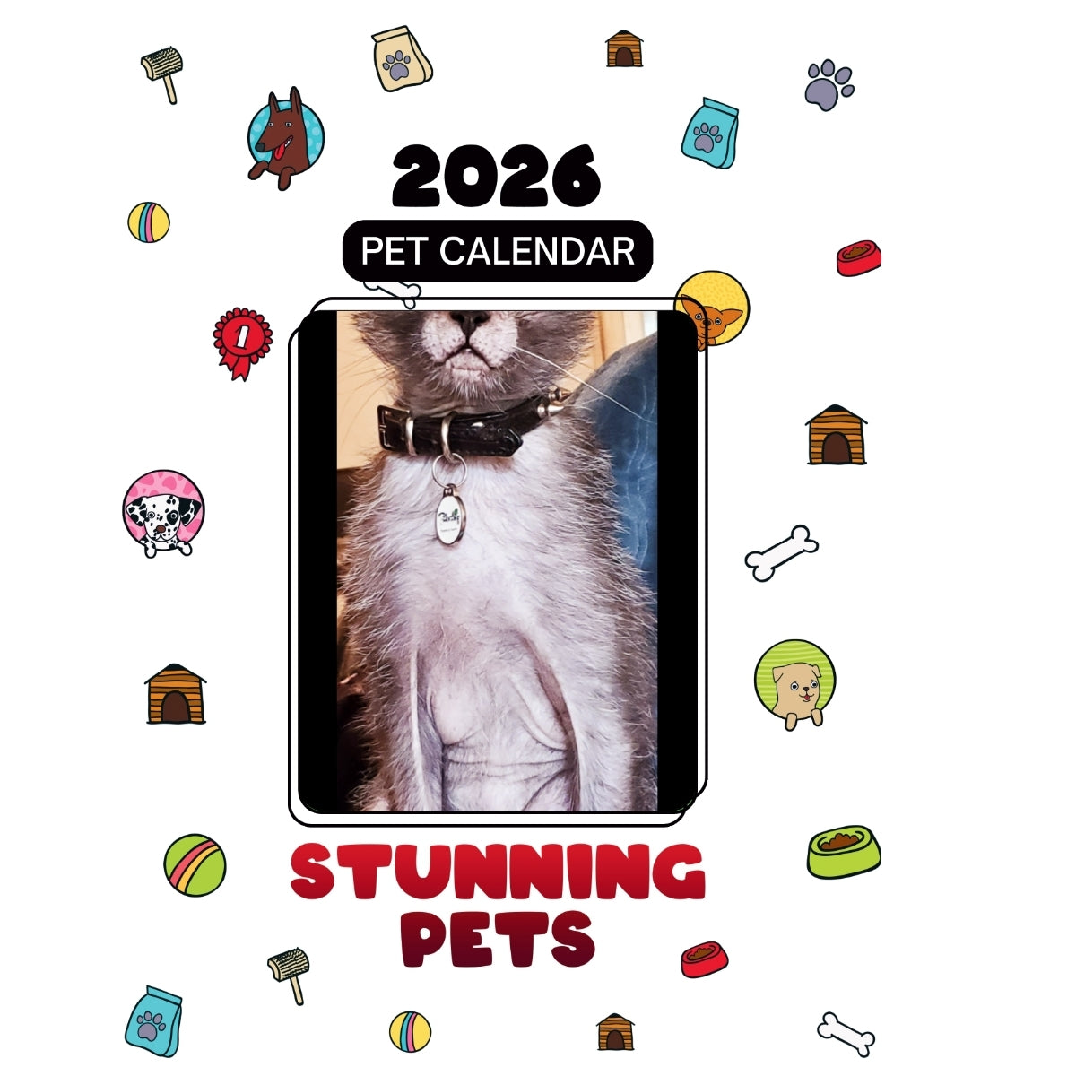 1 Headlines Stunning Pets: A 2026 Pet Calendar