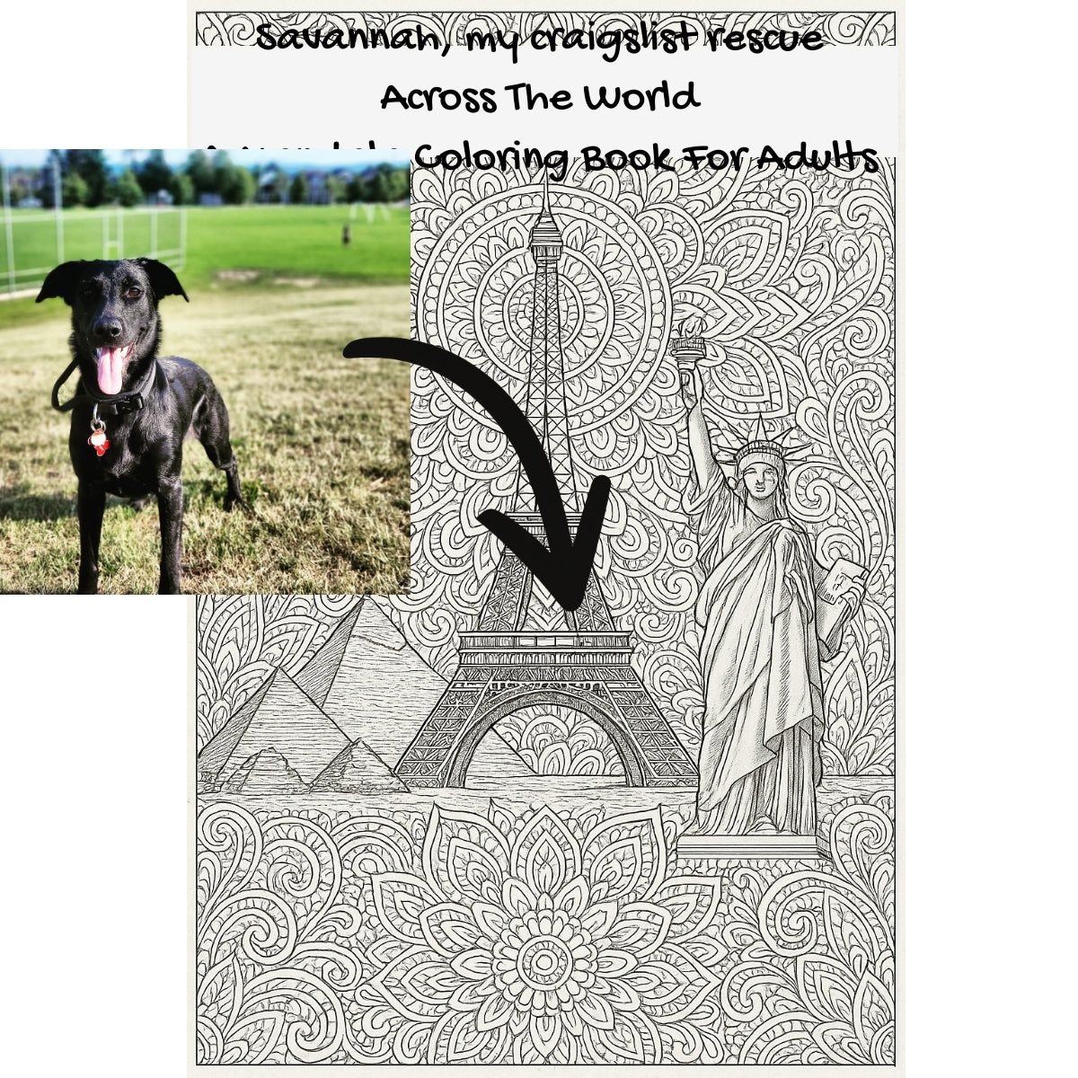 Savannah, my craigslist rescue Across The World: A Mandala Coloring Book For Adults