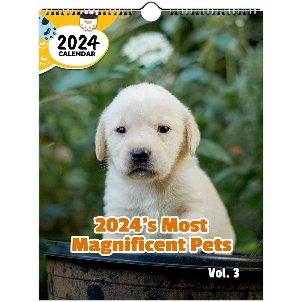 2024's Most Magnificent Pets Volume Three: 2024 Wall Calendar (Published)