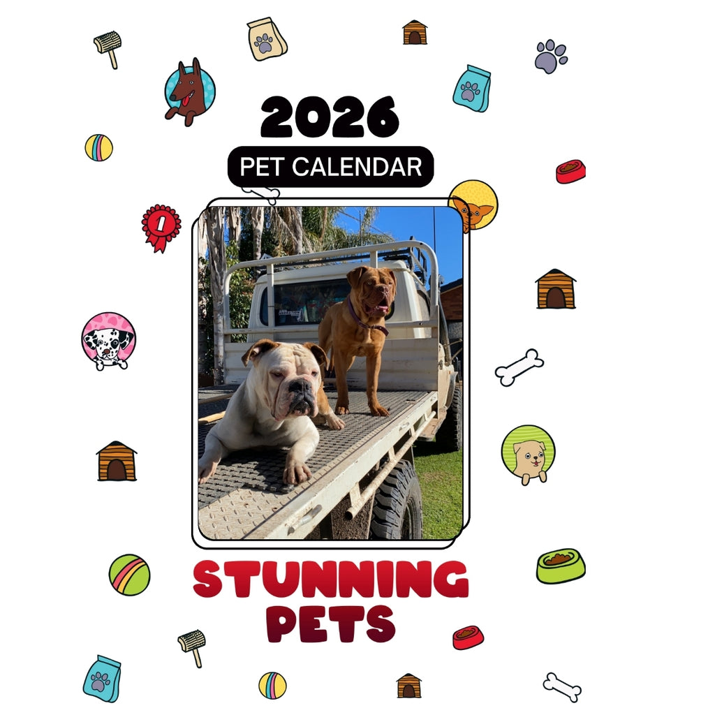 Lil ( bulldog ) and Bundie ( douge de Bordeaux) Headlines Stunning Pets: A 2026 Pet Calendar