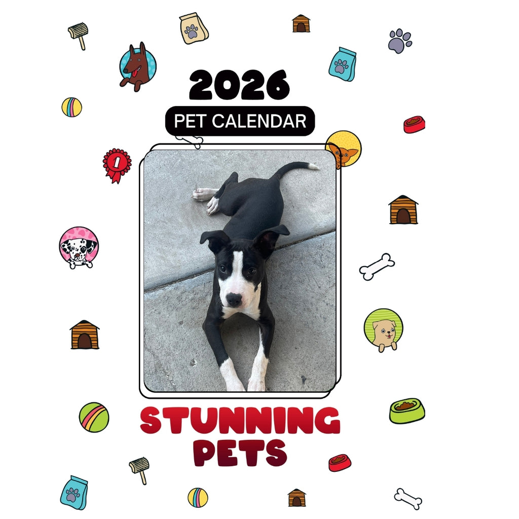 21 Headlines Stunning Pets: A 2026 Pet Calendar