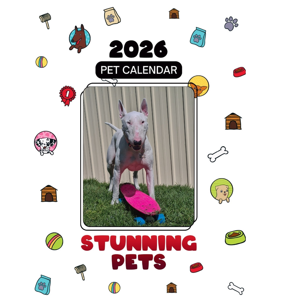 1 Headlines Stunning Pets: A 2026 Pet Calendar