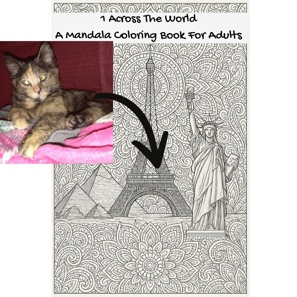1 Across The World: A Mandala Coloring Book For Adults
