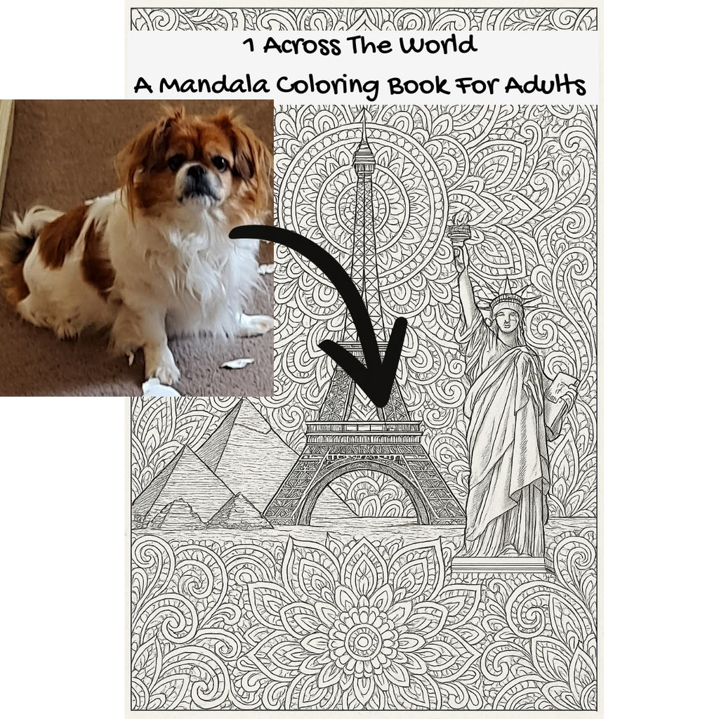 1 Across The World: A Mandala Coloring Book For Adults