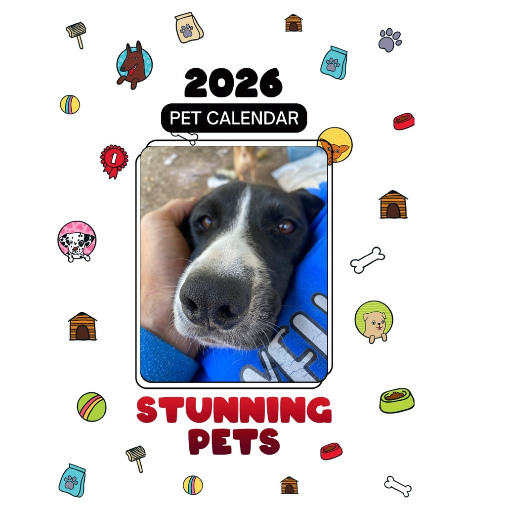 7 Of 9 Headlines Stunning Pets: A 2026 Pet Calendar