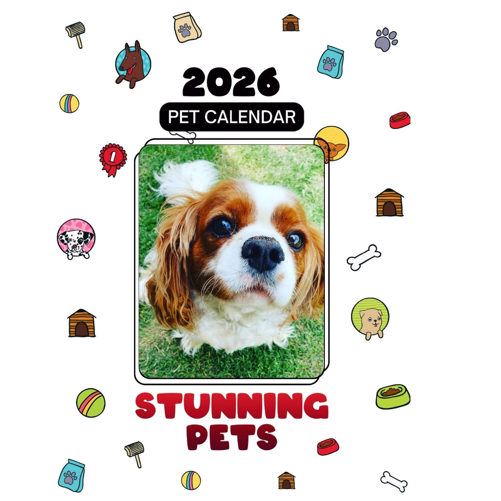 1 Headlines Stunning Pets: A 2026 Pet Calendar