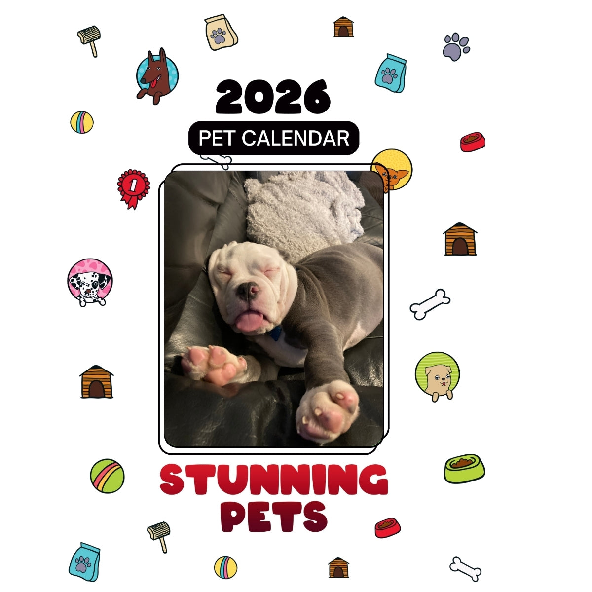 Brodie Headlines Stunning Pets: A 2026 Pet Calendar
