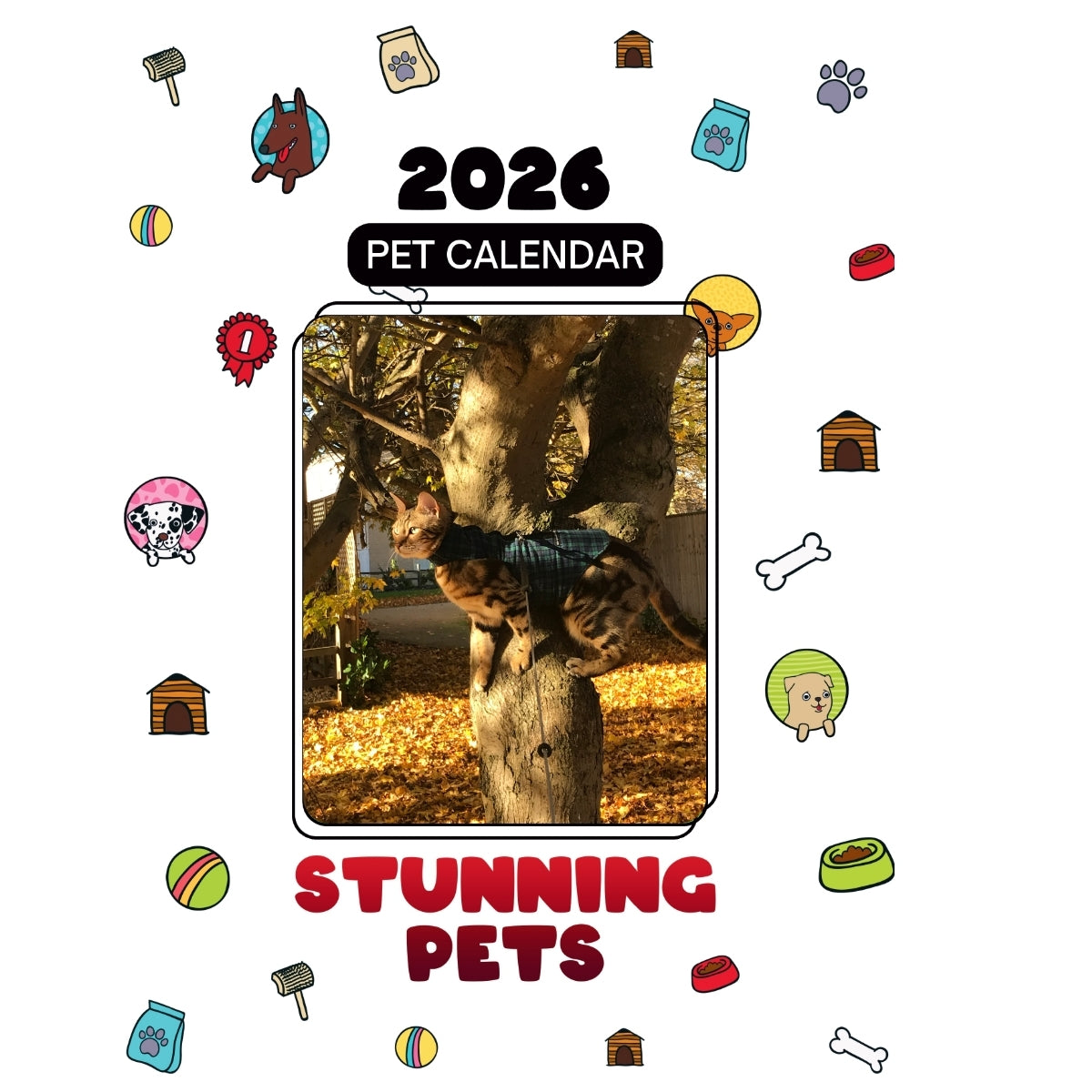 Milo Headlines Stunning Pets: A 2026 Pet Calendar