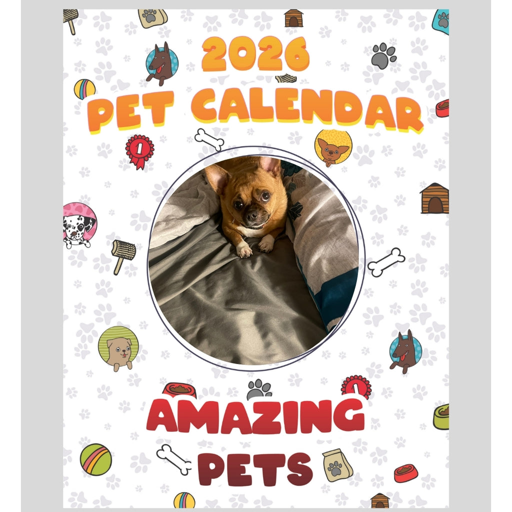 Chihuahua Stars in Stunning Pets: A 2026 Pet Calendar