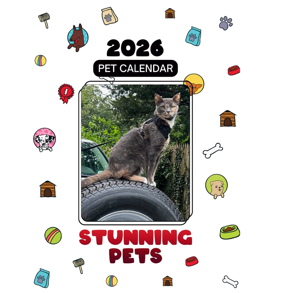 4 Headlines Stunning Pets: A 2026 Pet Calendar