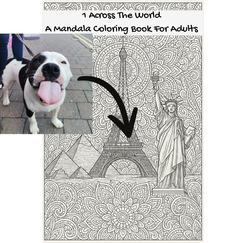 1 Across The World: A Mandala Coloring Book For Adults