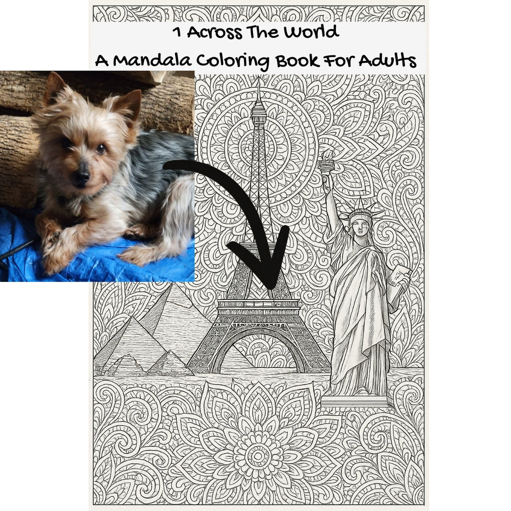1 Across The World: A Mandala Coloring Book For Adults