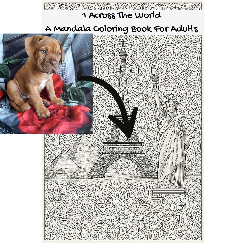 1 Across The World: A Mandala Coloring Book For Adults