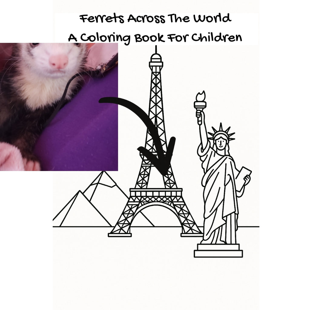 Ferrets Across The World: A Coloring Book For Children