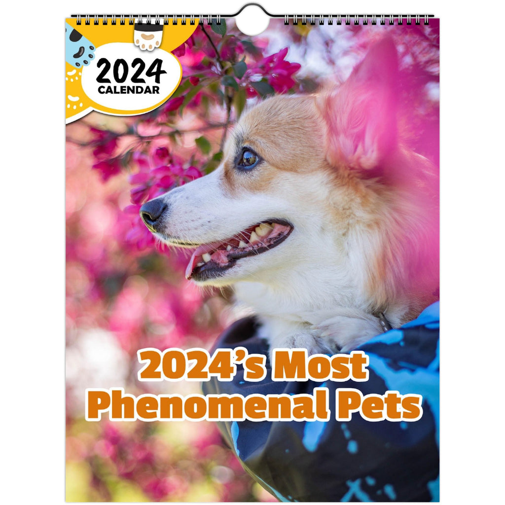 2024's Most Phenomenal Pets: 2024 Wall Calendar (Published)