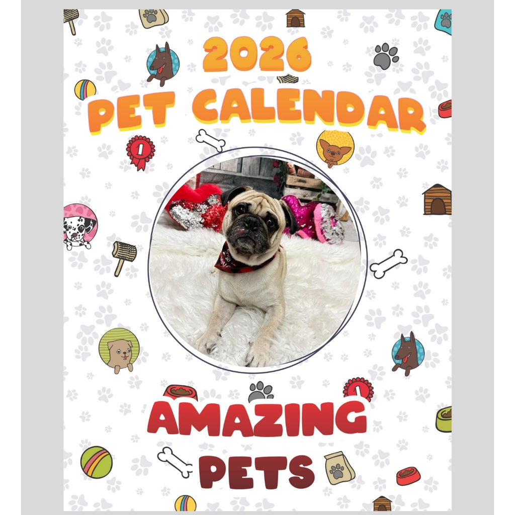 Puglly Stars in Amazing Pets: A 2026 Pet Calendar